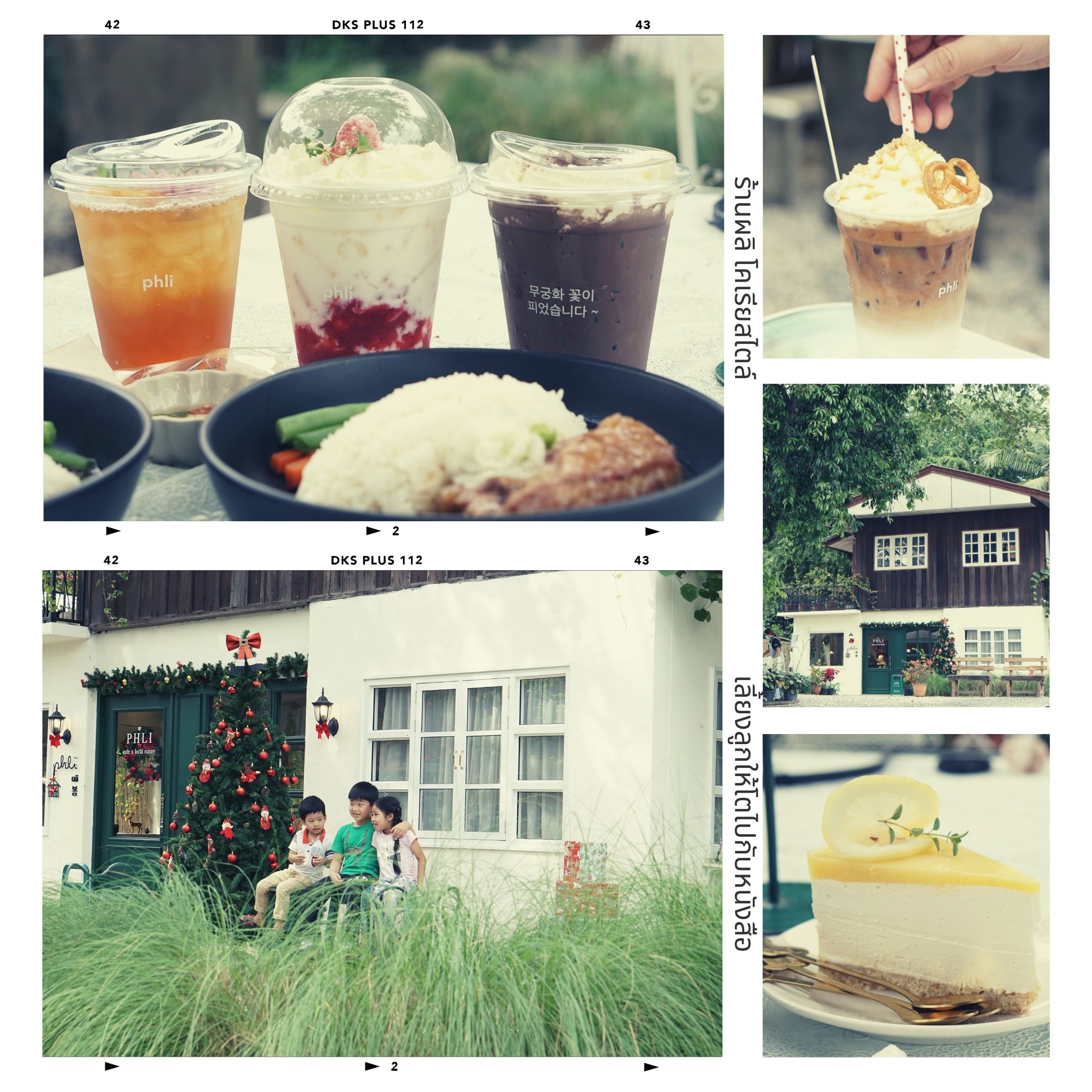 Kids - Learn - Agricultural - Homeschool Korea - Cafe - Coffee - Chiangmai