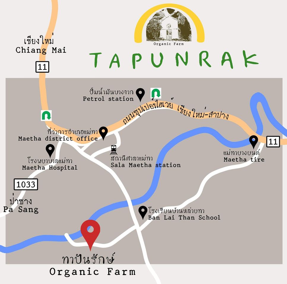 Tapunrak - ทาปันรักษ์ - ลำพูน - ฟาร์มสเตย์ - farmstay - เชียงใหม่ - Chiangmai - พิซซ่า - Pizza -กุหลาบ - Rose - Cafe - คาเฟ่